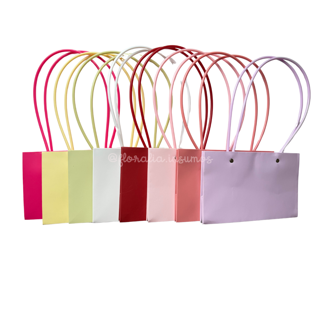 Cartera Rectangular Lisa